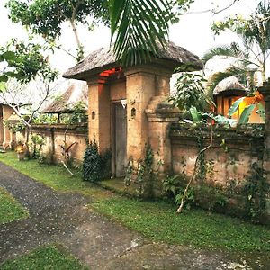 Deluxe One-Bedroom Villa